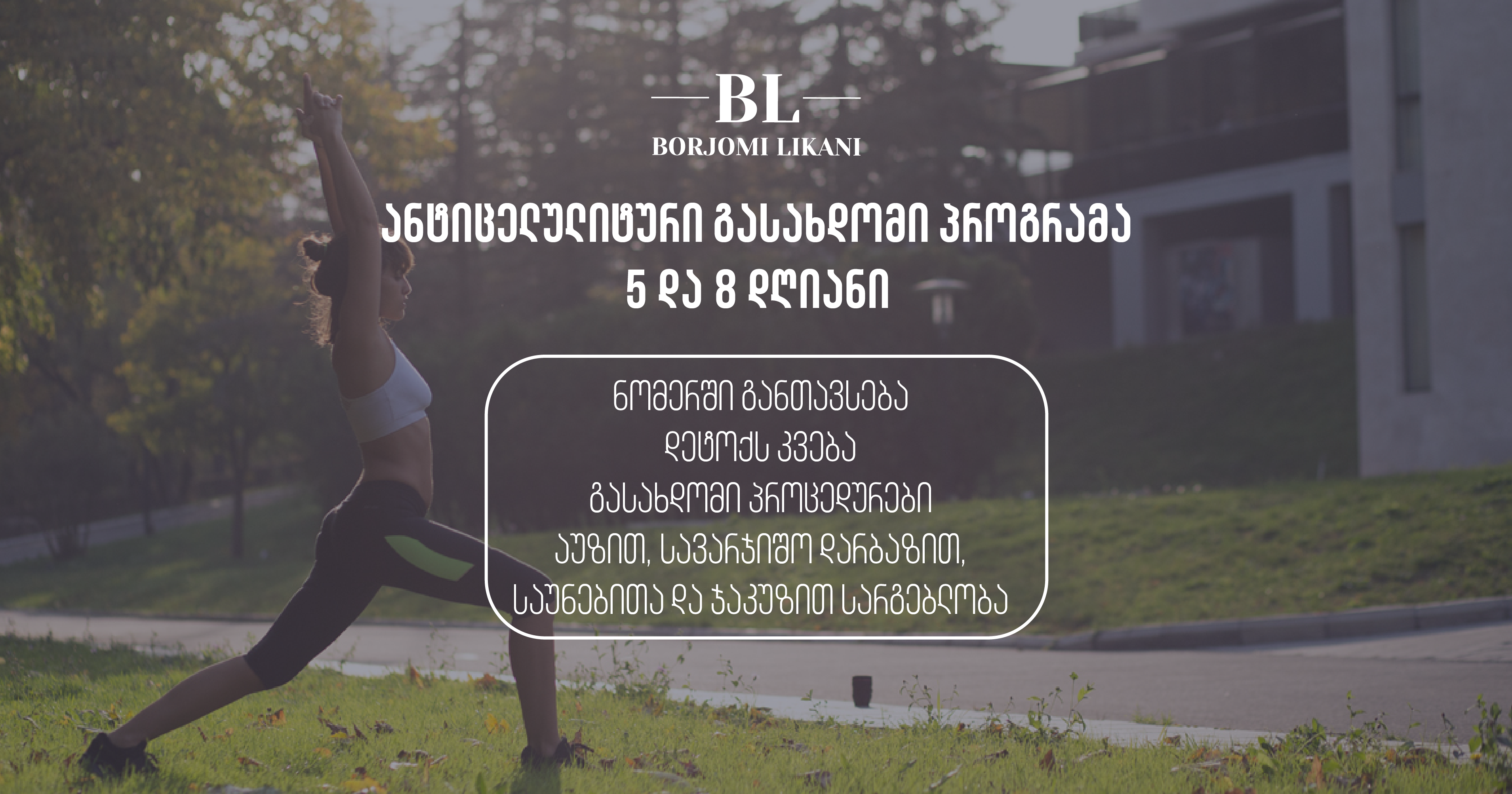 Detox პროგრამა